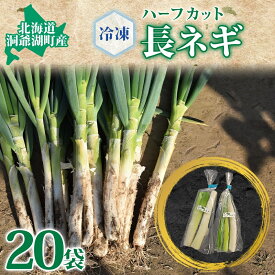 【ふるさと納税】役に立ちます 冷凍カット野菜 長ねぎ1/2分×20袋 長ネギ 料理 小分け 便利 野菜