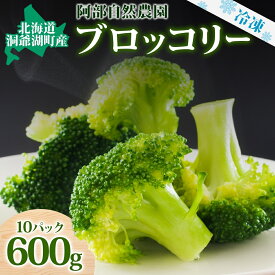 【ふるさと納税】役に立ちます 冷凍カット野菜 ブロッコリー60g×11袋 2025年6月中旬より出荷 野菜 冷凍 カット野菜 果物 小分け 時短 弁当 簡単 便利 北海道 洞爺湖町 　お届け：2025年6月中旬～12月下旬頃まで