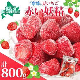 【ふるさと納税】役に立ちます 冷凍カット果物 いちご100g×8袋　【果物類・いちご・苺・イチゴ】