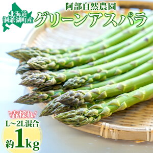 yӂ邳Ɣ[ŁzkC ΒY O[AXp 1kg L`2L 5{͂ 2026 st Hn AXp AXpKX  _앨 T_ VՂ VN Y lC  Yn