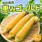 北海道産 とうもろこし 恵味 ゴールド 2L 10本 朝採り めぐみ 玉蜀黍 コーン スイートコーン とうきび 大きめ 甘い 新鮮 旬 もぎたて 産地直送　【野菜・とうもろこし・トウモロコシ・約5kg】　お届け：2024年8月下旬～9月末頃まで