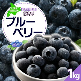 【ふるさと納税】北海道 訳あり ブルーベリー 500g 2袋 計1kg 果物 果実 フルーツ 新鮮 国産 ベリー 農作物 お取り寄せ グルメ ギフト 冷凍 長期 保存 とうやMarche マルシェ