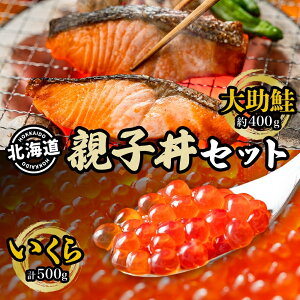yӂ邳Ɣ[Łz叕Ƃ̐eqZbg(É叕ؐg1 100g×4؁AݖЂ250g×2)  T[ L  HHi @͂F2025N2菇o