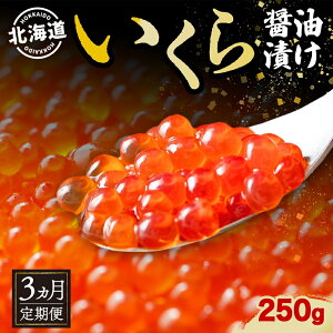 yӂ邳Ɣ[Łz 3A S3 kCY ݖЂ 250g kC CNݖЂ   Y CN CN   CY ݖЂ  i hg ґ 