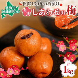 【ふるさと納税】北海道・樹齢130年の梅漬け「しあわせの梅」1kg（200g×5個）　【梅干し・漬物・1kg・梅・うめ】