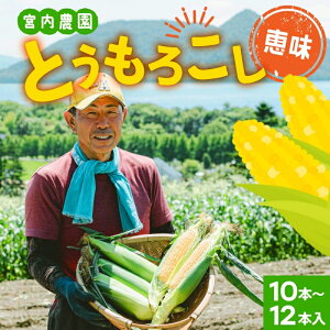yӂ邳Ɣ[ŁzkCY Ƃ낱 x20xȏ b ߂ 2L 10`12{ 2026N7{`8{ɂ͂ st ̂ gERV XC[g R[ {   VN Yn {