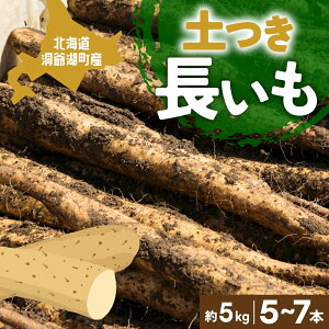 yӂ邳Ɣ[ŁzkCY _ y  5kg 5`7{ 11{`12{남͂ Ȃ yt kC  R Ƃ  C {  _앨 Yn  