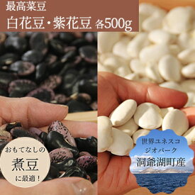 【ふるさと納税】北海道 洞爺湖町産 高級菜豆 2種 白花豆 500g 紫花豆 500g 計1kg 12月中旬よりお届け 花豆 豆 マメ まめ 大粒 甘い 北海道産 国産 煮豆 スープ 煮込み料理 常温 お取り寄せ 送料無料 【 洞爺湖町 】　お届け：2025年12月中旬より順次出荷