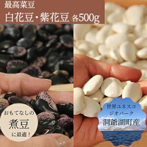 yӂ邳Ɣ[ŁzkC ΒY ؓ 2 ԓ 500g ԓ 500g v1kg 12{肨͂ ԓ  } ܂ 嗱 Â kCY Y ϓ X[v ύݗ 퉷  