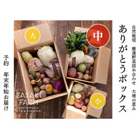 【ふるさと納税】旬の野菜詰め合わせ ～ありがとうBOX2025・中～ 12月1日～1月31日頃お届け 北海道 野菜 やさい 詰め合わせ セット 北海道産 常備菜 加工品 自然栽培 佐々木ファーム 産地直送 洞爺湖町　お届け：2025年12月1日～2026年1月31日まで