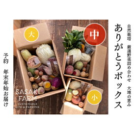 【ふるさと納税】〈自然栽培〉佐々木ファーム　旬の野菜詰め合わせ　～ありがとうBOX 2024・中～　やさい　直送　北海道　洞爺湖町　【 野菜の詰め合わせ ポップコーン 乾燥野菜 】　お届け：2024年12月1日～2025年1月31日まで