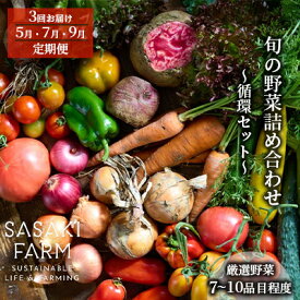 【ふるさと納税】[3回お届け 5月・7月・9月 定期便]〈自然栽培〉佐々木ファーム 旬の野菜詰め合わせ ～循環セット～ 厳選野菜7-10品目程度 先行予約 やさい 直送 北海道 洞爺湖町 野菜の詰め合わせ 北海道産 　お届け：1回目：5月、2回目：7月、3回目：9月