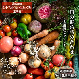 【ふるさと納税】[5回お届け 5月・7月・9月・11月・3月 定期便]〈自然栽培〉佐々木ファーム 旬の野菜詰め合わせ ～循環セット～ 厳選野菜7-10品目程度 先行予約 直送 北海道 洞爺湖町　お届け：1回目：5月、2回目：7月、3回目：9月、4回目：11月、5回目：3月