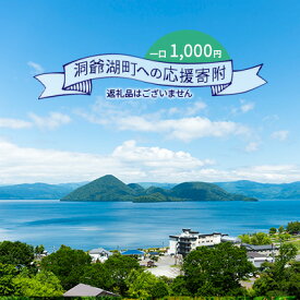 【ふるさと納税】洞爺湖町 寄附のみの応援受付 1,000円コース（返礼品なし 寄附のみ 1000円） 支援 自治体支援 お礼の品なし 北海道 洞爺湖町の発展 ふるさと応援 ふるさと支援