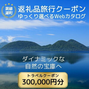 yӂ邳Ɣ[ŁzkCcA[ Ή ォIׂ闷sWebJ^OŎgI sN[|i300,000~j s h H ̌T[rX  kC@͂FmF