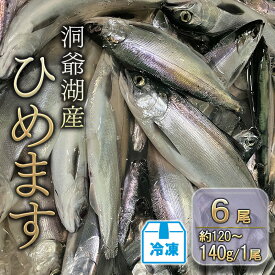 【ふるさと納税】洞爺湖産ひめます6尾(約120～140g/1尾)冷凍