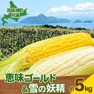 yӂ邳Ɣ[ŁzkC Y ߂ S[h ̗d 5kg st 8{`9{ɂ͂ Ƃ낱gERV Ƃ R[ b XC[g R[ {  ̂ Yn