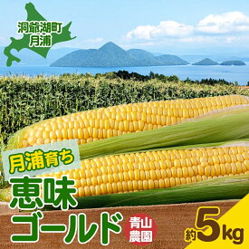 【ふるさと納税】北海道 月浦 めぐみ ゴールド 5kg 先行受付 8月下旬～9月中旬頃にお届け とうもろこしトウモロコシ とうきび 恵味 スイート コーン 旬 野菜 甘い 大粒 人気 朝採り 産地直送 青山農園 送料無料 洞爺湖 　お届け：2026年8月中旬～9月中旬頃まで