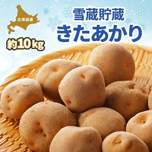 yӂ邳Ɣ[ŁzkC ᑠ  M`LM 10kg 2025N2{菇͂ Ⴊ WKC n鏒 L^AJ k j   ᑠ  _앨 kCY ۓc