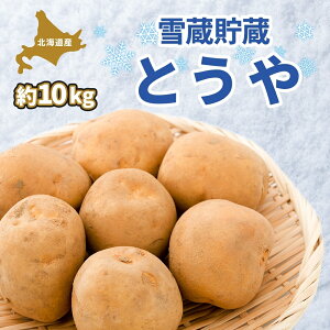 yӂ邳Ɣ[ŁzkC ᑠ Ƃ L`LM 10kg 2025N2{菇͂ Ⴊ WKC Ⴊ n鏒   C { ᑠ  _앨 J[ V`[Ⴊ kC