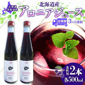 yӂ邳Ɣ[Łz A3 kCY AjAW[X 500ml 2{ ߗp AjA ʏ` W[X hN X[p[t[h  Y ݕ t[c ʎ Ē  Z  v