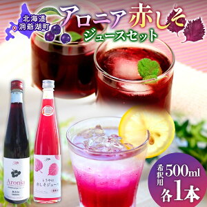 yӂ邳Ɣ[ŁzkCY ԂW[X AjAW[X 500ml e1{ ߗp Ԃ AjA ʏ` W[X hN  ݕ t[c  V\ h  lߍ킹  