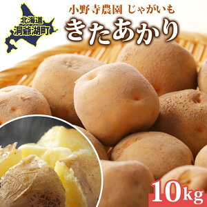yӂ邳Ɣ[ŁzႪ  10kg 10{`12{͂ IႪ zNzN Â |egT_ RbP Yn  Y 쎛_ kC Β@͂F