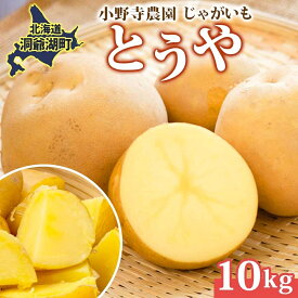 【ふるさと納税】R8年産 先行受付 じゃがいも とうや 10kg 2026年9月下旬より順次出荷 ホクホク 甘い ポテトサラダ コロッケ 産地直送 お取り寄せ 国産 小野寺農園 北海道 洞爺湖町　お届け：2026年9月下旬より順次出荷