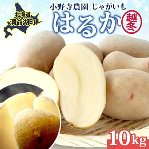 yӂ邳Ɣ[ŁzႪ z~͂邩 10kg 2026N1{`3{남͂ Ƃ Â [Xg Ⴊo^[ Yn  Y 쎛_ kC Β@͂F2026N1
