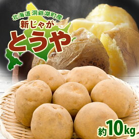 【ふるさと納税】北海道 洞爺湖町産 新じゃがいも とうや 約10kg Mサイズ以上混載 2026年10月初旬より順次出荷 北海道産 新じゃが じゃがいも ジャガイモ 馬鈴薯 旬 野菜 農作物 送料無料 産地直送 常温 洞爺湖町 　お届け：2026年10月初旬より順次出荷