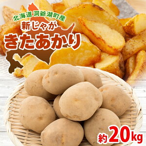 yӂ邳Ɣ[ŁzkC ΒY VႪ  20kg MTCYȏ㍬ kCY VႪ Ⴊ  WKC n鏒   {  _앨  Yn 퉷 