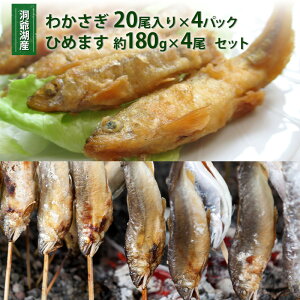 yӂ邳Ɣ[ŁzΎY킩(20×4P)EЂ߂܂4(120`140g/1)Zbg kCY JTM 킩 싛  Yn Ⓚ  O  VՂ tC Ƃ}
