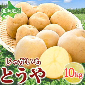 【ふるさと納税】じゃがいも とうや 10kg 2025年9月上旬～12月中旬までお届け ジャガイモ 芋 甘い ホクホク なめらか ポテト カレー 調理 料理 煮込み料理 旬 野菜 お取り寄せ 北海道 洞爺湖町　お届け：2025年9月上旬～12月中旬まで