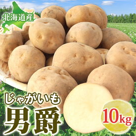 【ふるさと納税】男爵 10kg 2025年9月上旬～12月中旬までお届け ダンシャク コロッケ ジャガイモ 芋 甘い ホクホク ポテト カレー 調理 料理 煮込み料理 旬 野菜 お取り寄せ 北海道 洞爺湖町　お届け：2025年9月上旬～12月中旬まで