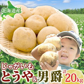 【ふるさと納税】じゃがいも2種セット 計20kg とうや 男爵 2025年9月上旬～12月中旬までお届け ジャガイモ 芋 甘い ホクホク ポテト カレー 調理 料理 煮込み料理 旬 野菜 お取り寄せ 北海道 洞爺湖町　お届け：2025年9月上旬～12月中旬まで