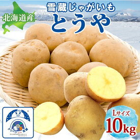 【ふるさと納税】雪蔵じゃがいも 10kg とうやLサイズ 2026年3月上旬～3月末までお届け ジャガイモ 芋 甘い なめらか しっとり ポタージュ カレー 調理 料理 煮込み料理 雪蔵 旬 季節 農作物 野菜 根菜 北海道 洞爺湖町　お届け：2026年3月上旬～3月末まで