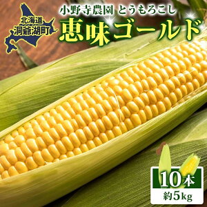 yӂ邳Ɣ[ŁzkC Ƃ낱 bS[h 5kg 10{ 2026N811`8͂ gERV R[ Â Yn BBQ Ƃ Y lC o[xL[  kC