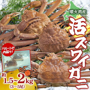 yӂ邳Ɣ[ŁzkC ΘpY YCKj 1.5`2kg i3`5j 2025N1110܂Ŕ kCY { VN 킢 YCKj  Jj I JjX VR Θp Yn 