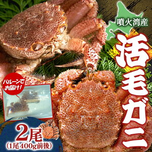 yӂ邳Ɣ[Łzst kC ΘpY т 400gO×2 2026N6{`7{͂ kCY { VN т  Jj I уKj ъI JjX VR Θp Yn 