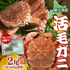 yӂ邳Ɣ[Łzst kC ΘpY т 500gO×2 2026N6{`7{͂ kCY { VN т  Jj I уKj ъI JjX VR Θp Yn 