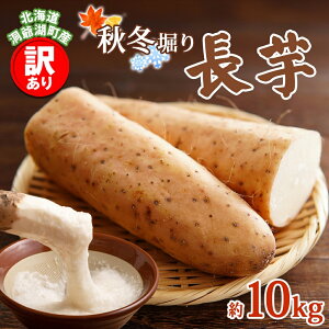 【ふるさと納税】洞爺湖町産 訳あり 長芋 約10kg 2025年12月上旬から順次お届け 長いも 国産 北海道産 訳アリ 家庭用 不揃い とろろ 山かけ ステーキ 生食 調理 野菜 芋 旬 北海道 洞爺湖町 お