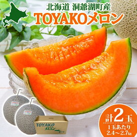 【ふるさと納税】TOYAKOメロン 2玉 計4.8kg～5.4kg 2026年9月下旬～10月中旬お届け 先行予約 北海道産 メロン レッド113 糖度14度以上 赤肉 フルーツ 果物 旬 デザート 国産 贈り物 常温 今村農園 北海道 洞爺湖町 　お届け：2026年9月下旬～10月中旬まで