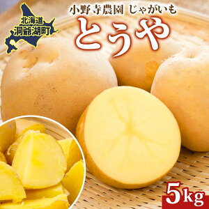 �y�ӂ邳�Ɣ[�ŁzR8�N�Y ��s��t ���Ⴊ���� �Ƃ��� 5kg 2026�N9�����{��菇���o�� �z�N�z�N �Â� �|�e�g�T���_ �R���b�P �Y�n���� ������ ���Y ���쎛�_�� �k�C�� ����Β��@���͂��F202