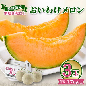 yӂ邳Ɣ[Łzyʌz 킯 x16xȏ@1.7kgȏ×3ʓy1000244z