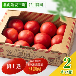 yӂ邳Ɣ[Łzys\zn3î Yg}g / i2kg(10`15ʓ)yzsnFzy1472504z