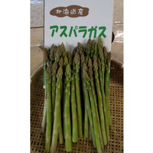 yӂ邳Ɣ[Łzo_ ́y|!znEXO[AXpKX@800gyzsnFzy1680762z