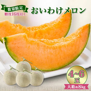 yӂ邳Ɣ[Łzyʌz킯pbN x16xȏ 唠8kg(4`6)_  ߂ ԓ ԓ 킯 Ǖ ʌ kC ʕ  t[c fU[g 