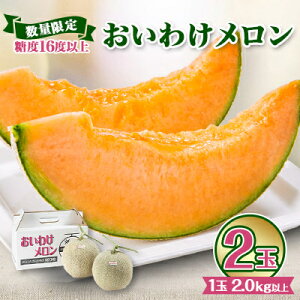 yӂ邳Ɣ[Łzy2026Nz킯pbN x16xȏ 2.0kgȏ×2(ʌ)y1102220z