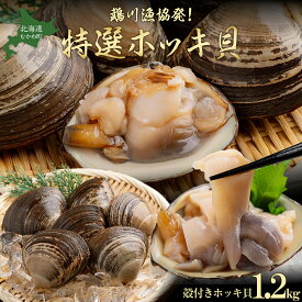 【ふるさと納税】鵡川漁協発!特選ホッキ貝(1.2kg) 【 ふるさと納税 人気 おすすめ ランキング 天然 特選 ほっき ホッキ ほっき貝 海鮮 新鮮 北海道 むかわ町 送料無料 】 MKWV003