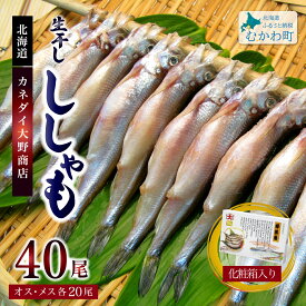 【ふるさと納税】北海道産生干ししゃもセット（メス・オス各20尾） 【 ふるさと納税 人気 おすすめ ランキング ししゃも シシャモ 生干し おかず ご当地 むかわ 鵡川 北海道 むかわ町 送料無料 】 MKWAE001